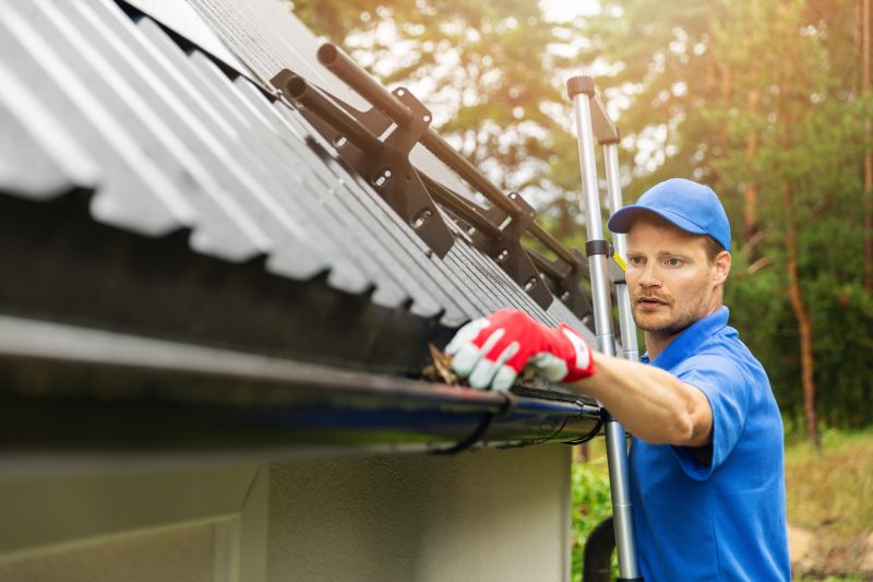 Gutter cleaning service
