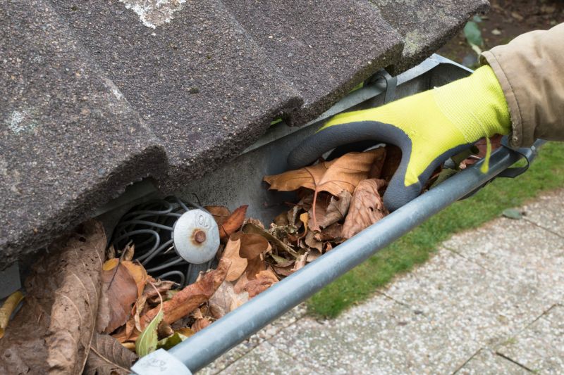 Gutter cleaning